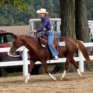 Meet your Posher, Kelsey